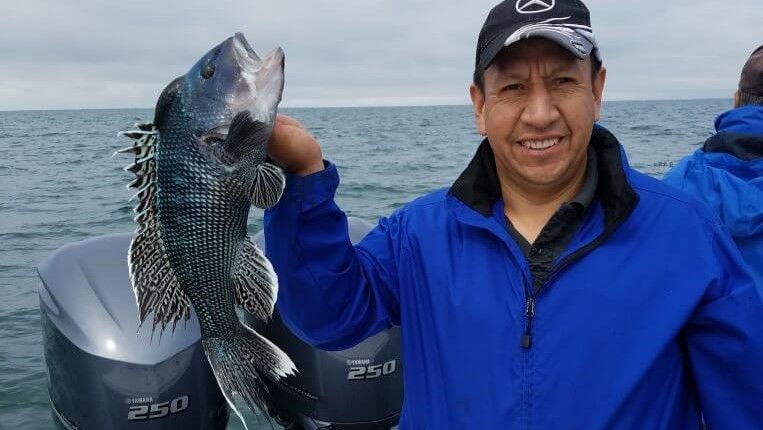 Monster Sea Bass on Get Hooked Cape Cod Charters