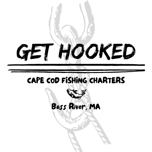 Hooked on Cape Cod